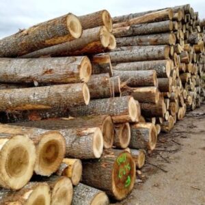 Hardwood Logs