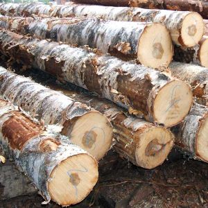 Wood Logs